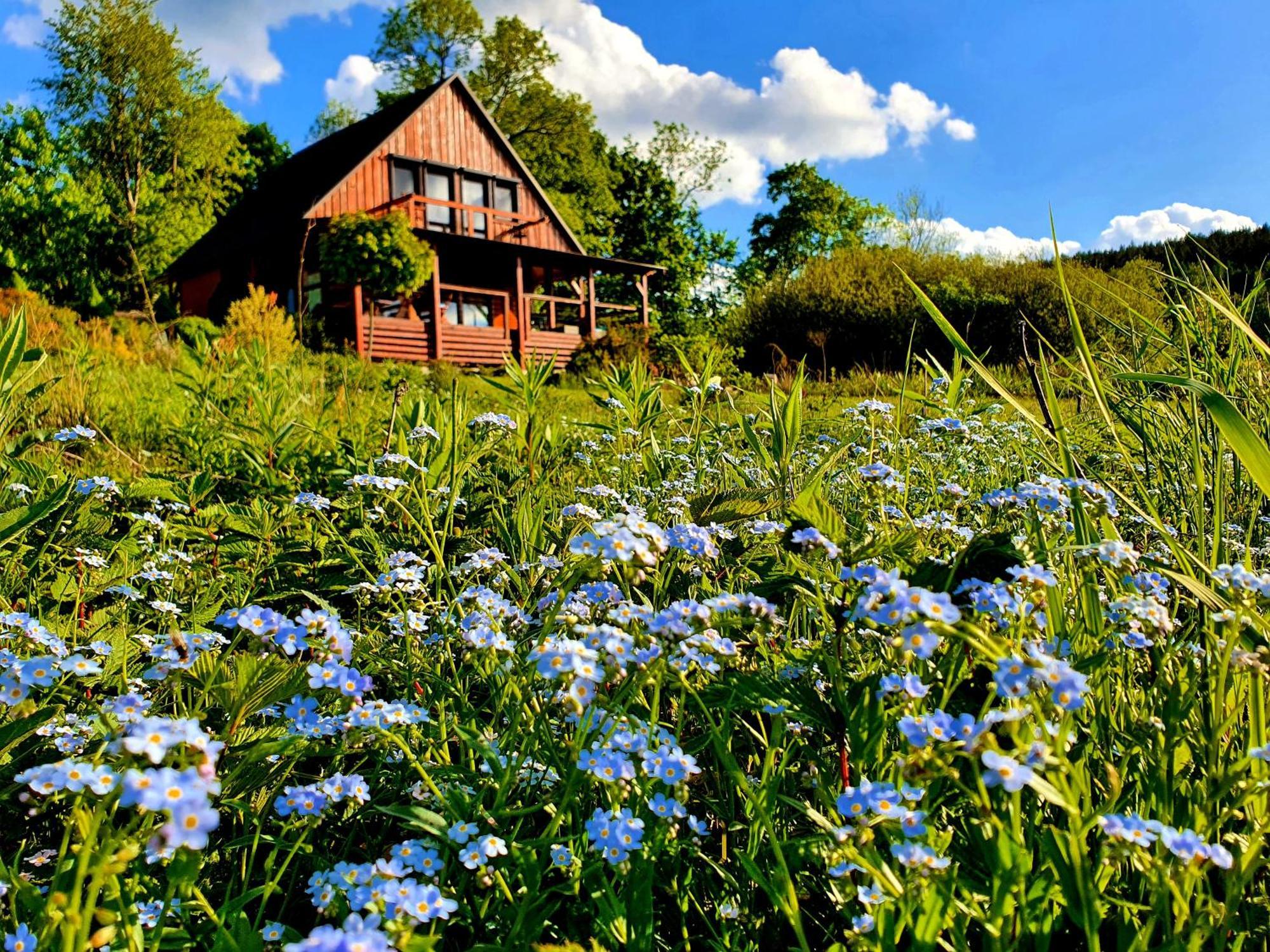 Piaskowy Kon - Mountain Lodge & Spa- Karkonosze Mniszkow  Exteriör bild